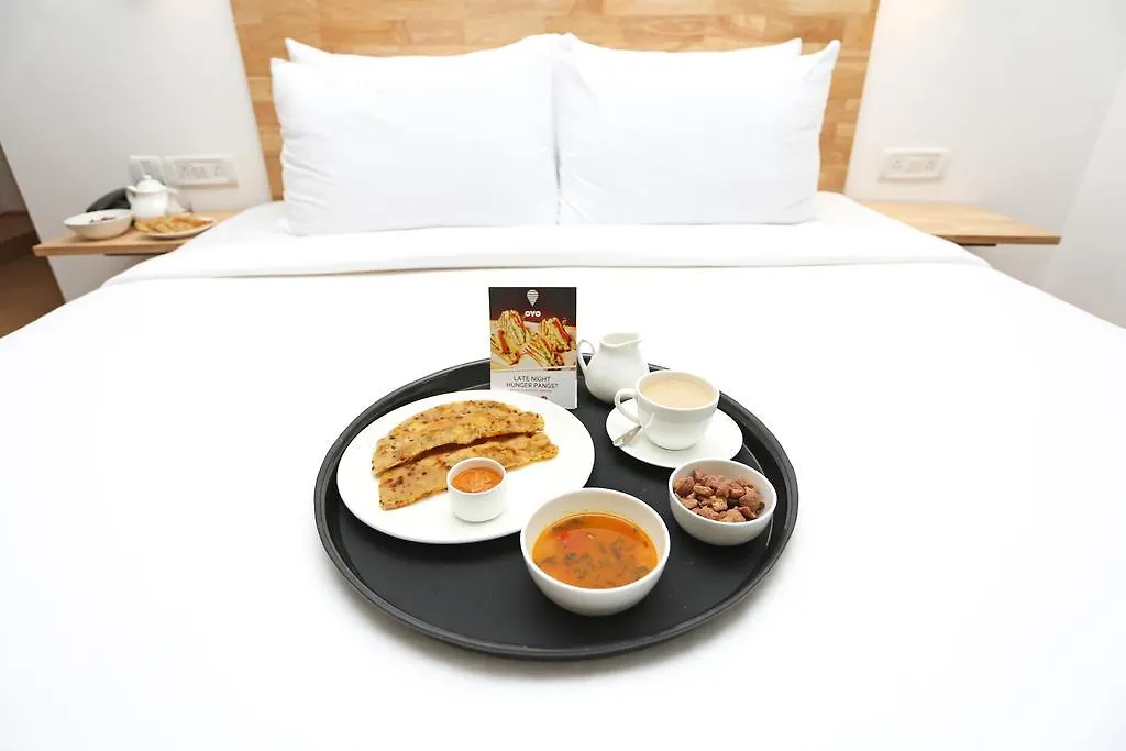 Oyo 528 Hotel Neptune Residency Delhi   Delhi (National Capital Territory of India)